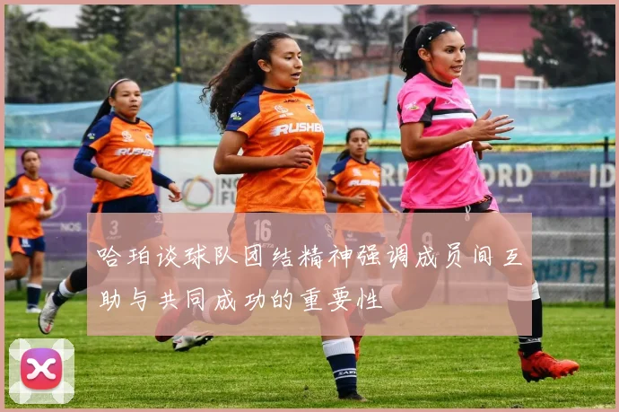 哈珀谈球队团结精神强调成员间互助与共同成功的重要性