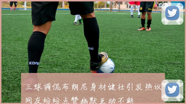 三球调侃布朗尼身材健壮引发热议网友纷纷点赞幽默互动不断