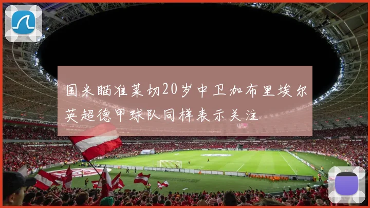 国米瞄准莱切20岁中卫加布里埃尔英超德甲球队同样表示关注