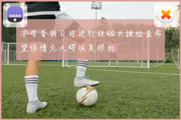 字母哥明日将进行核磁共振检查希望伤情无大碍恢复顺利