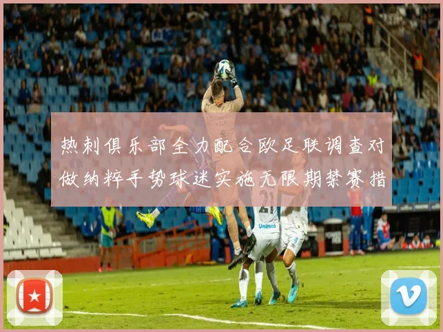 热刺俱乐部全力配合欧足联调查对做纳粹手势球迷实施无限期禁赛措施