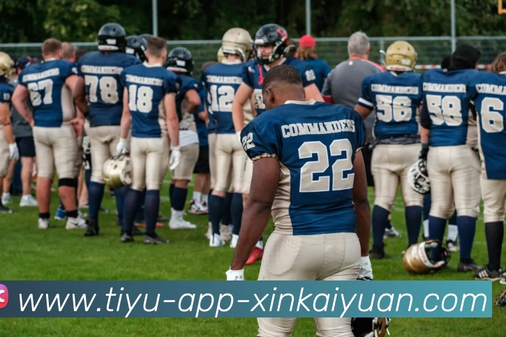 开元体育平台生态图